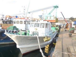 OAX-324.jpg