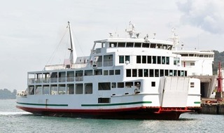 OCY-224.jpg