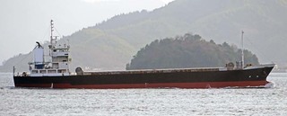 OGO-370 .jpg