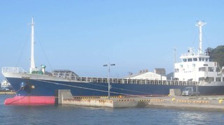 OGO-371 .jpg