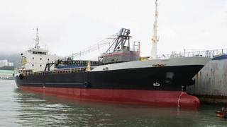 OGO-383 .jpg