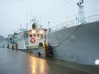OLG-184.jpg