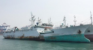 OLG-194.jpg