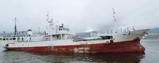 OLG-199 .jpg