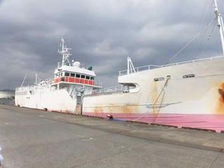 OLG-200 .jpg