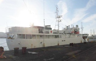 OLG-202 .jpg
