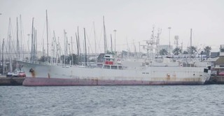 OLG-204 .jpg