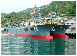 img_k01.jpg
